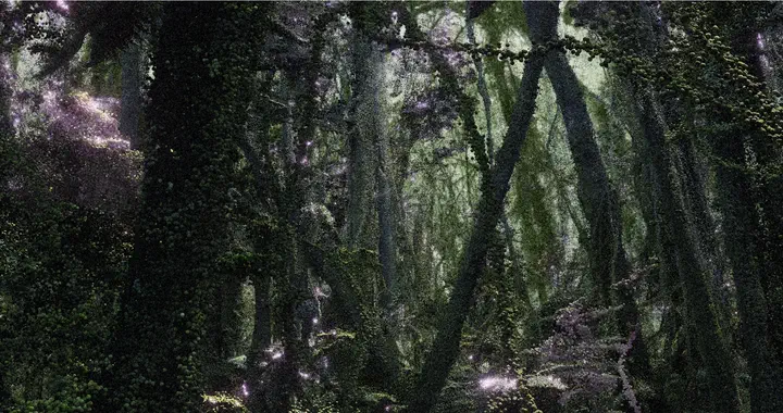 Bird Data Immersive XR System