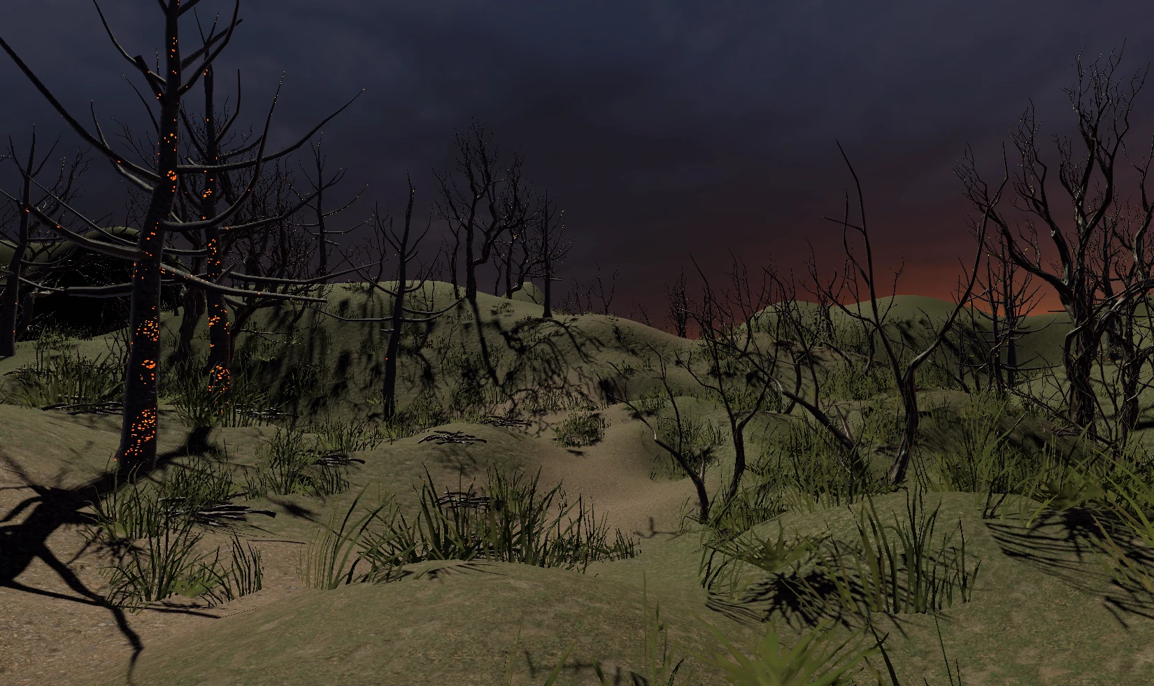 Forest scene 1