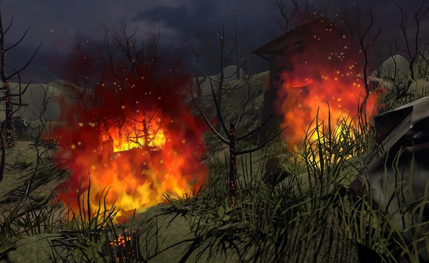 Forest scene 2
