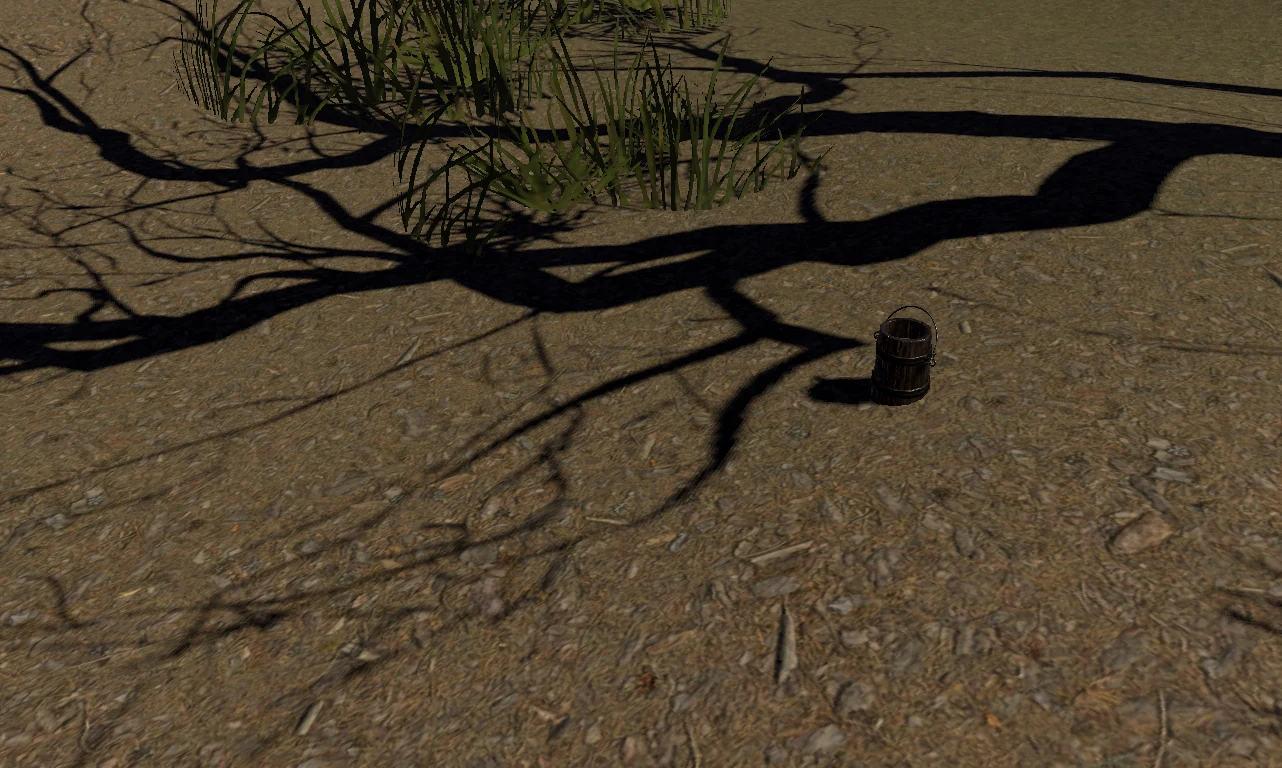 Forest scene 3